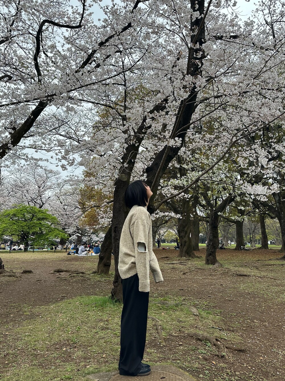 ベージュ系のニット/セーター、ブラック系のスラックス、ブラック系のスニーカーを着用したレディースの春コーディネートの2枚目の写真