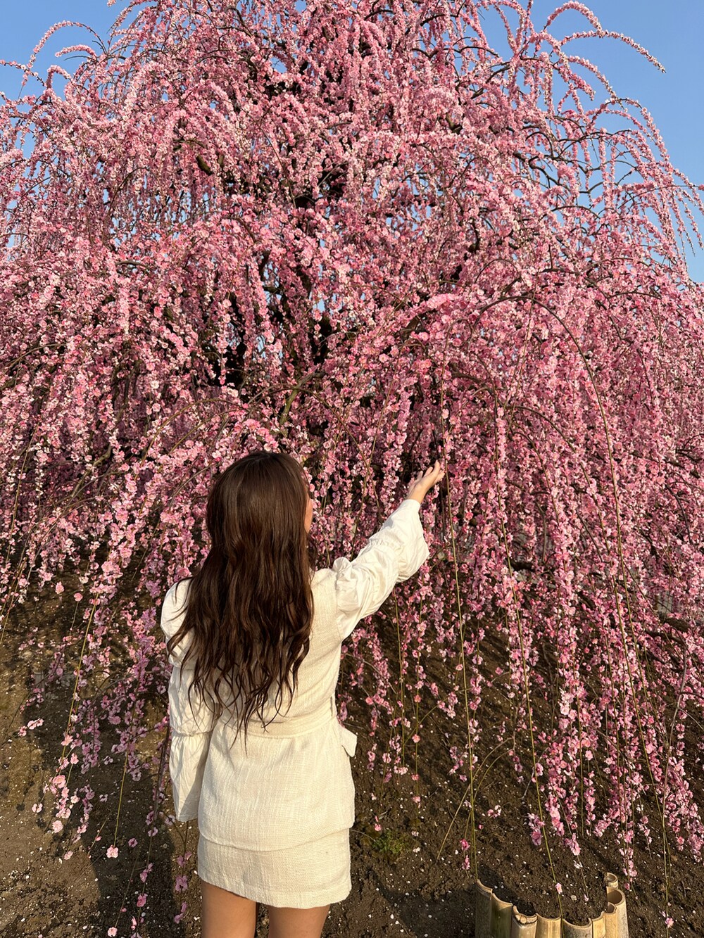 ホワイト系のテーラードジャケット、ホワイト系のスカート、ブラック系のブーツを着用したレディースの夏コーディネートの2枚目の写真