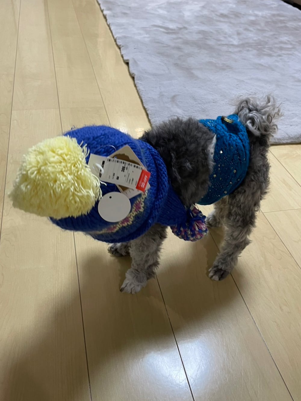 グリーン系のパーカー、グレー系のペットグッズ、グリーン系のペットグッズを着用したレディースの冬コーディネートの3枚目の写真