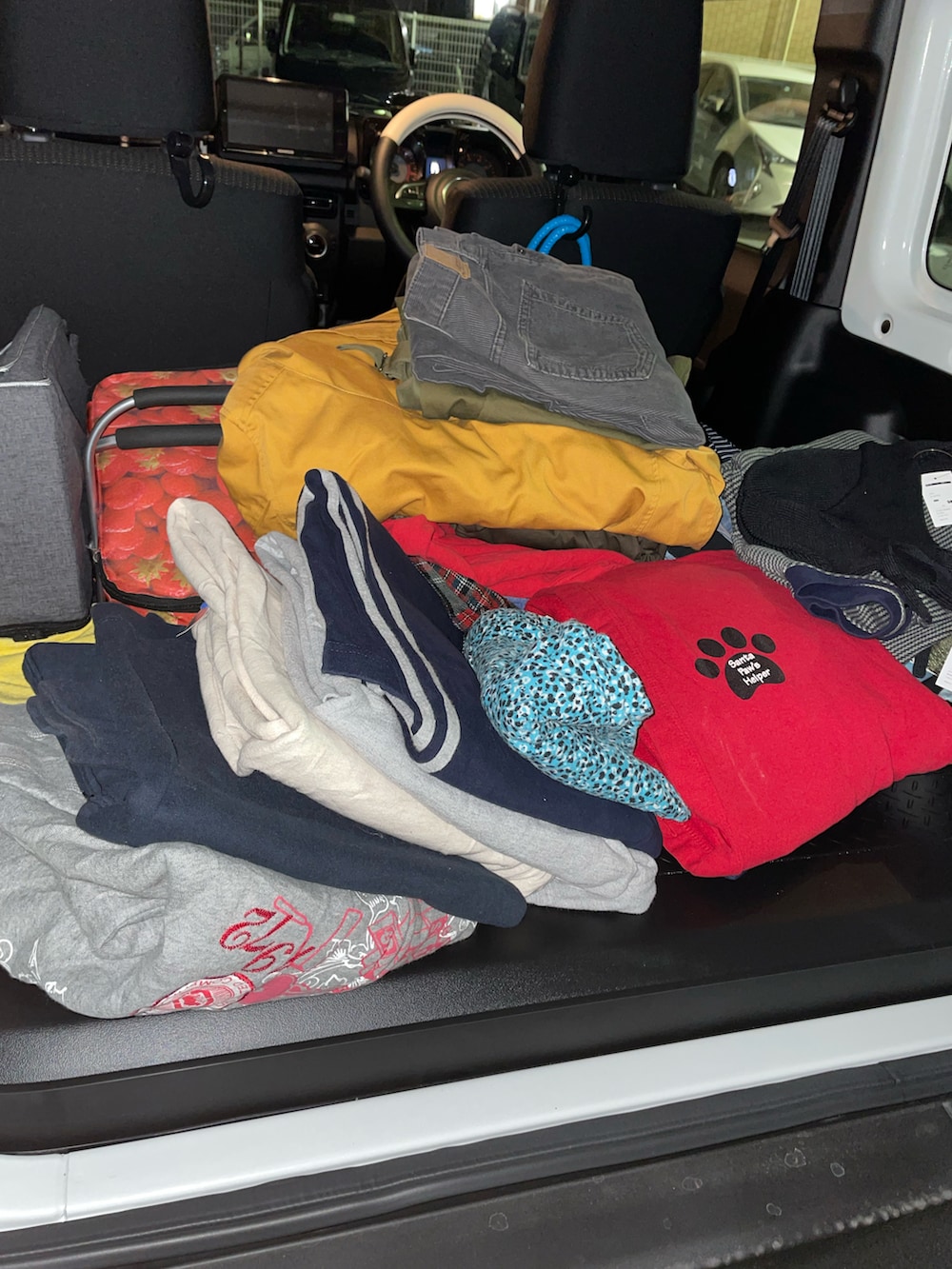 グリーン系のパーカー、グレー系のペットグッズ、グリーン系のペットグッズを着用したレディースの冬コーディネートの4枚目の写真