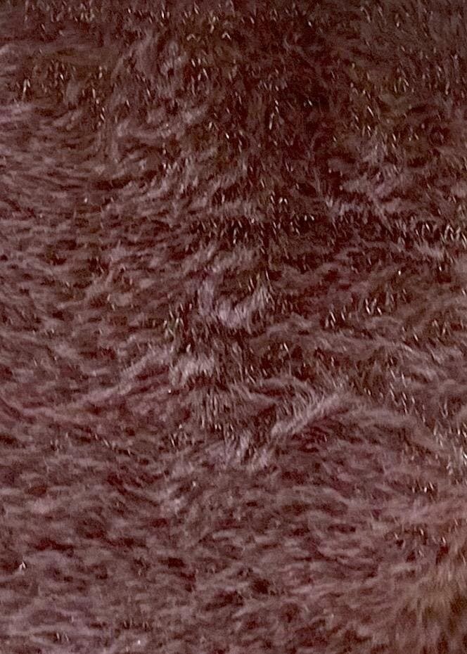 ホワイト系のシャツ/ブラウス、ブラック系のハンドバッグ、ブラウン系のベストを着用したレディースの秋コーディネートの7枚目の写真