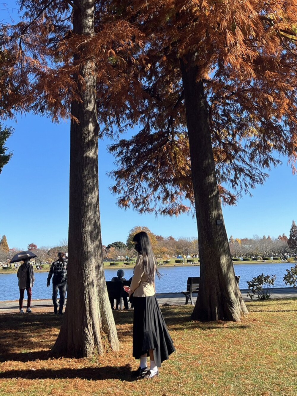 ブラック系のスカート、ベージュ系のシャツ/ブラウスを着用したレディースの冬コーディネートの2枚目の写真