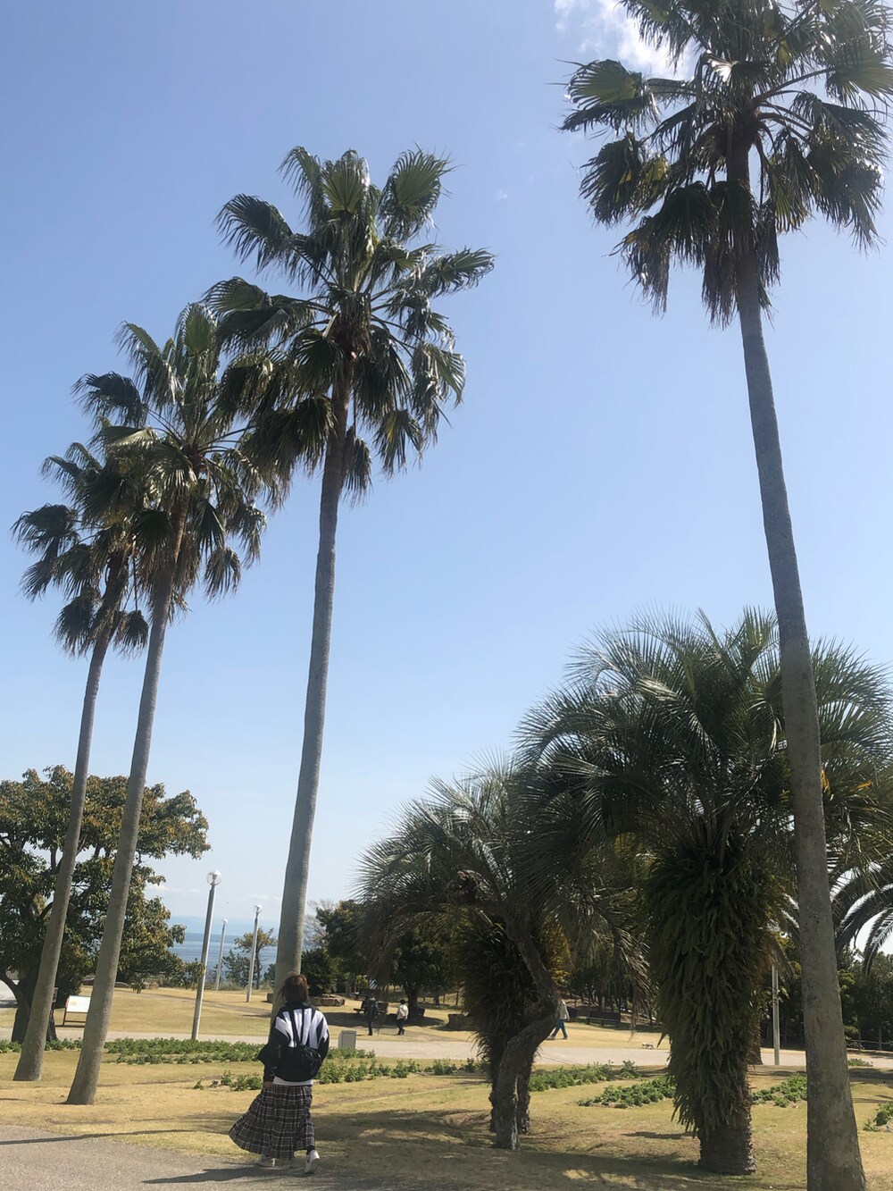 ブラック系のボディバッグ/ウエストポーチ、ブラウン系のスカート、ベージュ系のスニーカーを着用したレディースの春コーディネートの3枚目の写真