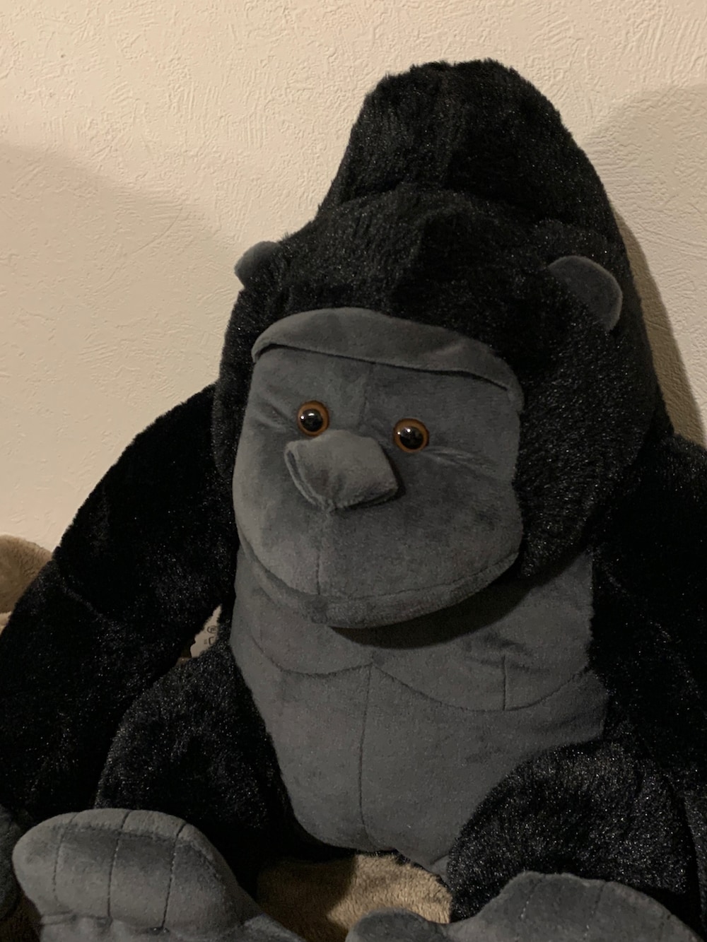 ブラック系のフィギュアを着用したレディースの冬コーディネートの3枚目の写真