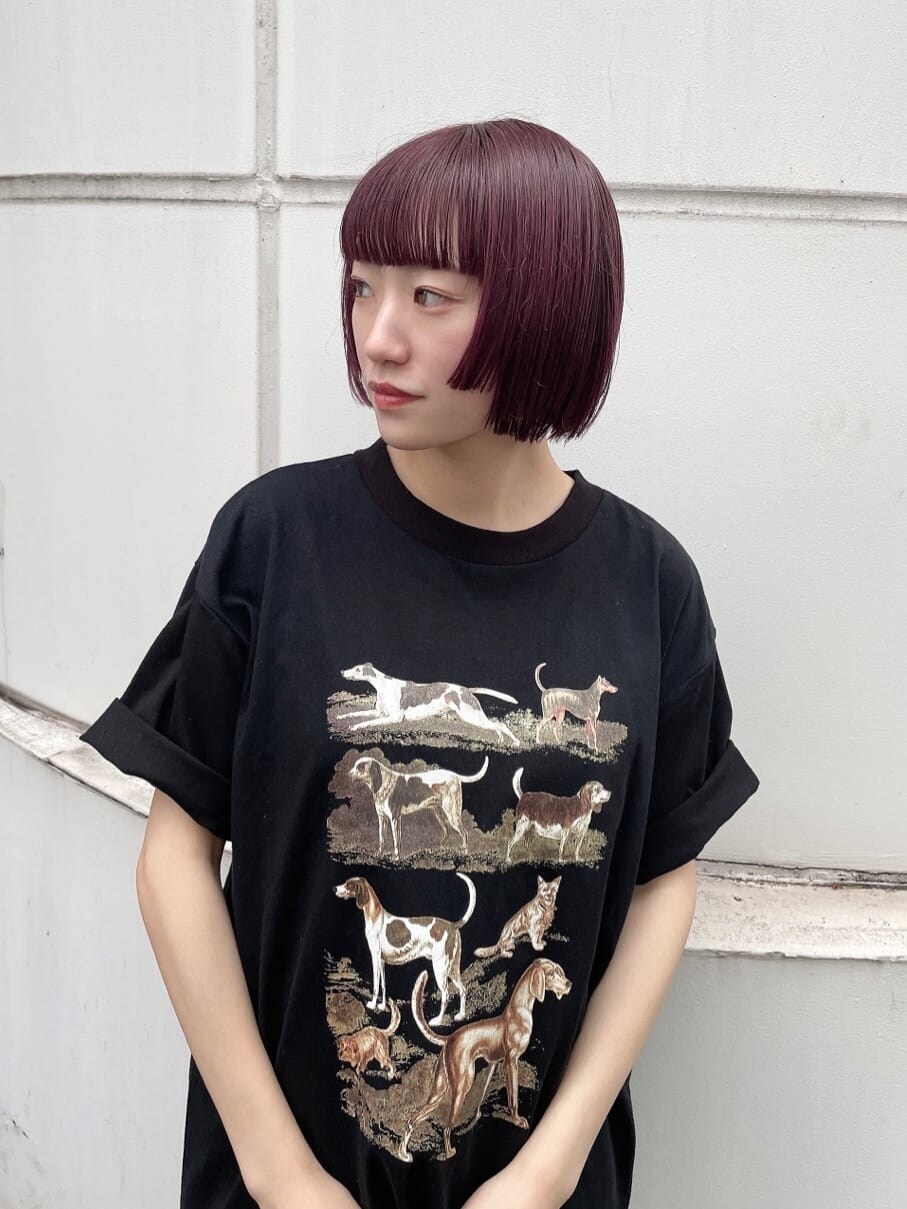 ホワイト系のショルダーバッグ、ホワイト系のその他パンツ、ブラック系のTシャツ/カットソーを着用したレディースの春コーディネートの5枚目の写真