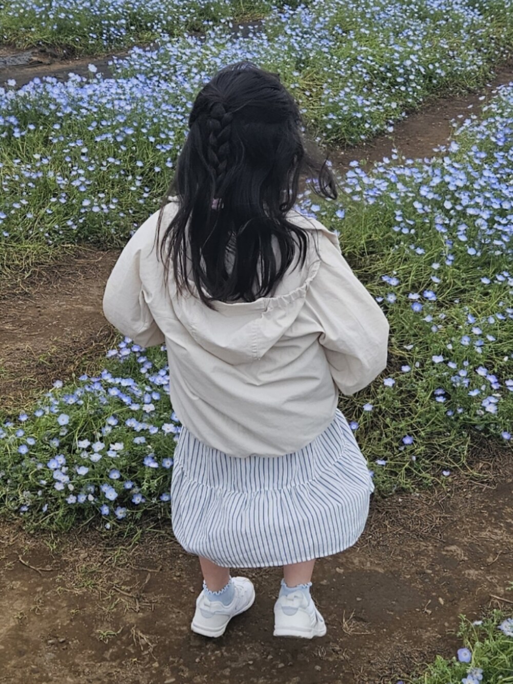 「春夏コーデ、シンプルコーデ、キッズファッション、淡色コーデ、ワンピース、お出かけコーデ、パステルカラー、ストライプ、UNIQLO」｜「UNIQLOのアイテム（マウンテンパーカー、ホワイト系）」を使った、𝑀𝐴𝑁𝑂𝐴さん（キッズ・90cm）の春コーディネートの2枚目の写真