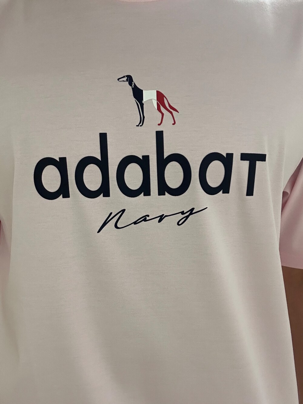 ピンク系のTシャツ/カットソー、ブラック系のその他パンツ、ブラック系のトートバッグを着用したメンズの夏コーディネートの5枚目の写真