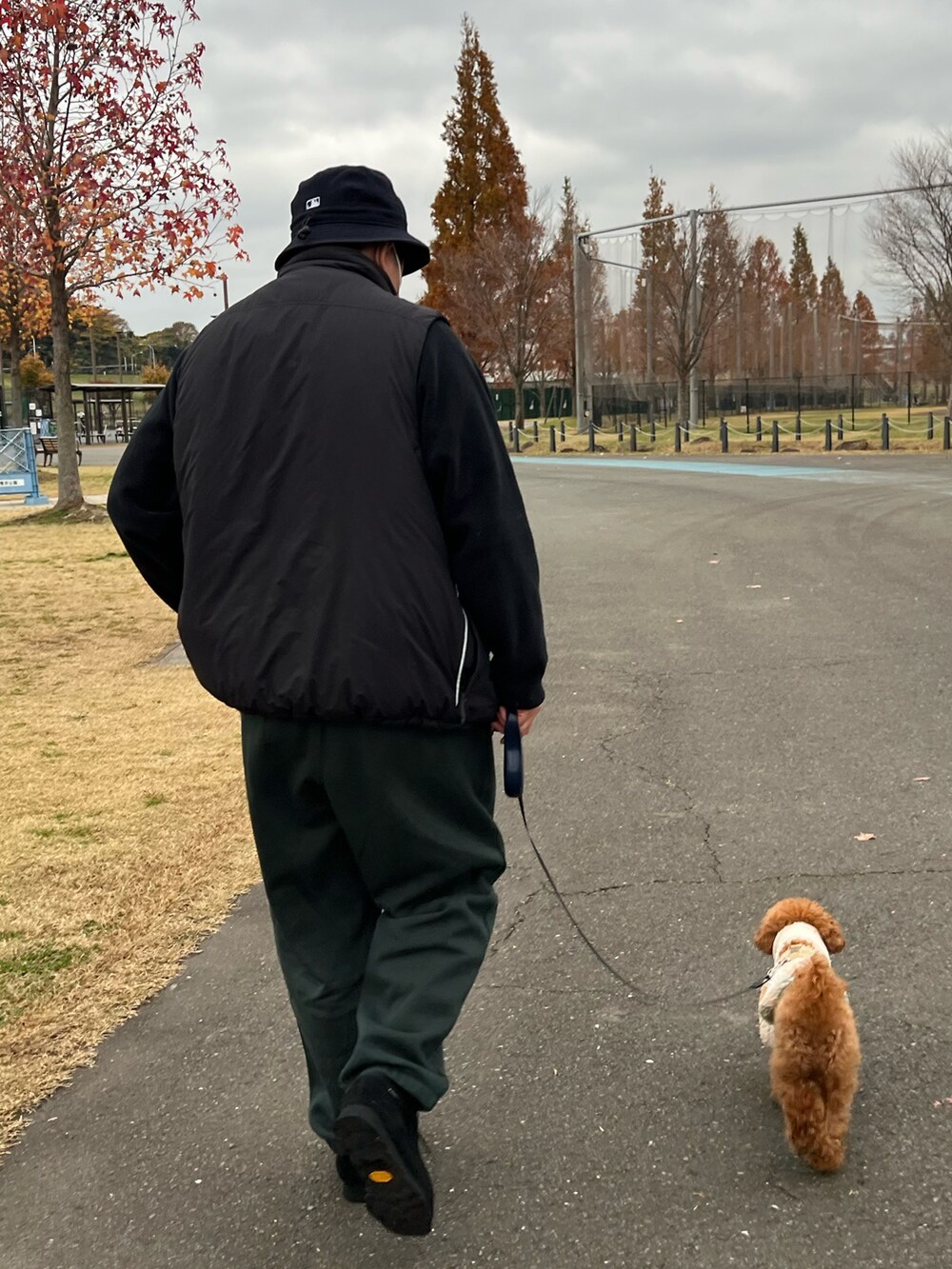 グリーン系のスウェットパンツ、ブラック系のその他トップス、ブラック系のダウンベストを着用したメンズの冬コーディネートの2枚目の写真