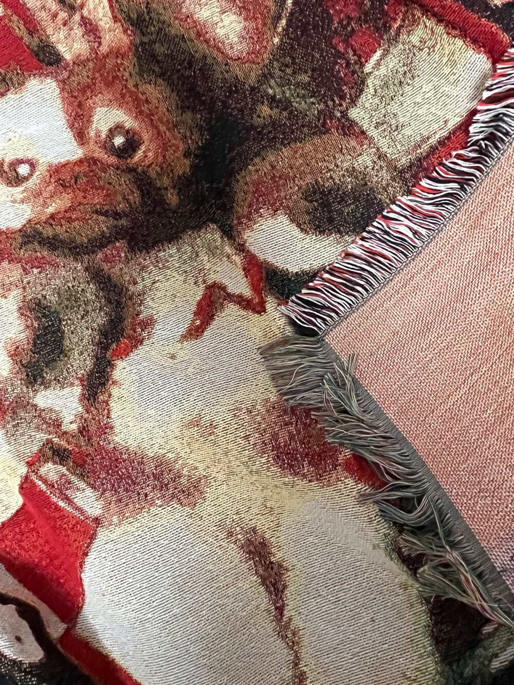 レッド系のブランケットを着用したレディースの秋コーディネートの3枚目の写真