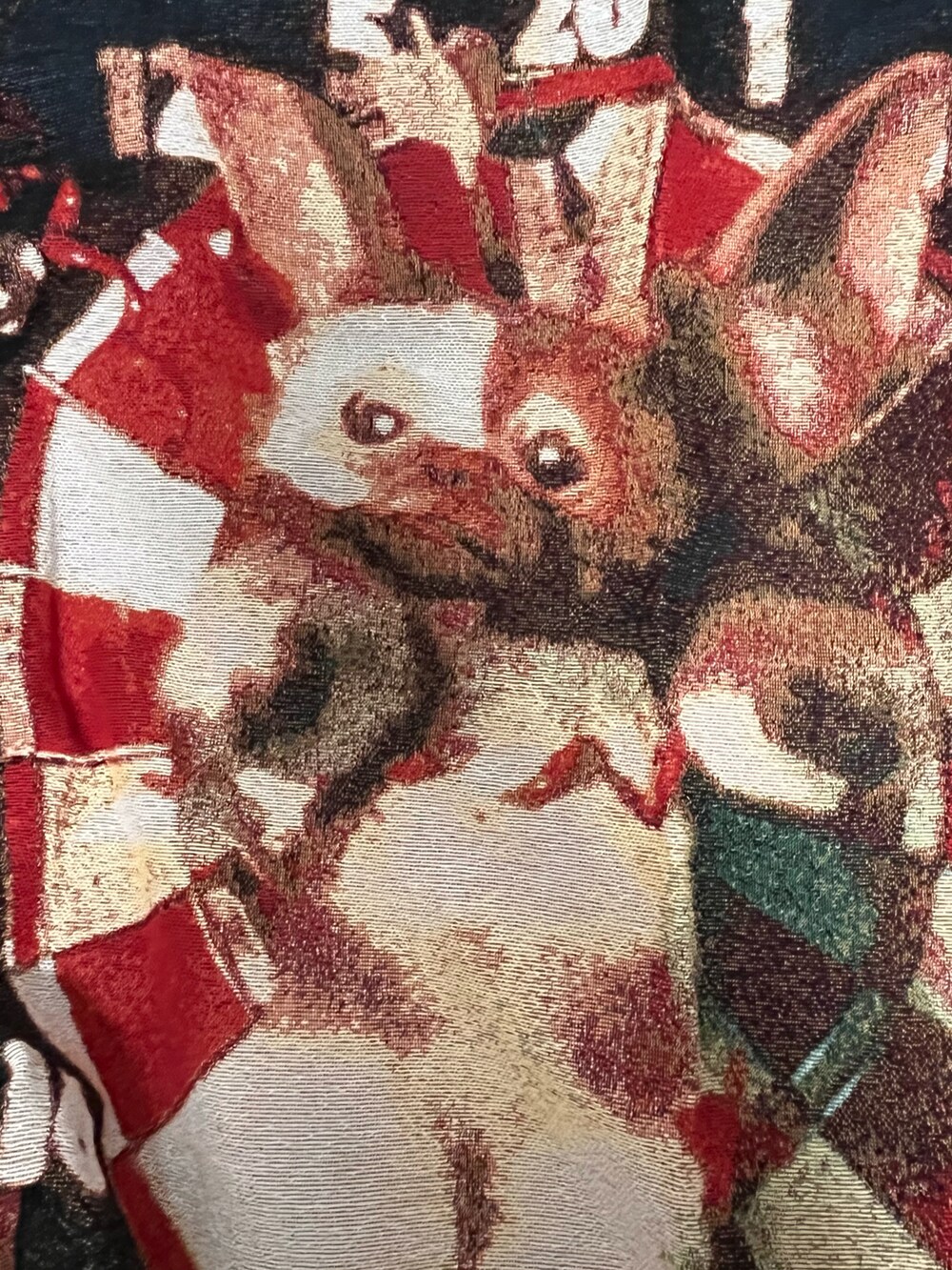 レッド系のブランケットを着用したレディースの秋コーディネートの2枚目の写真