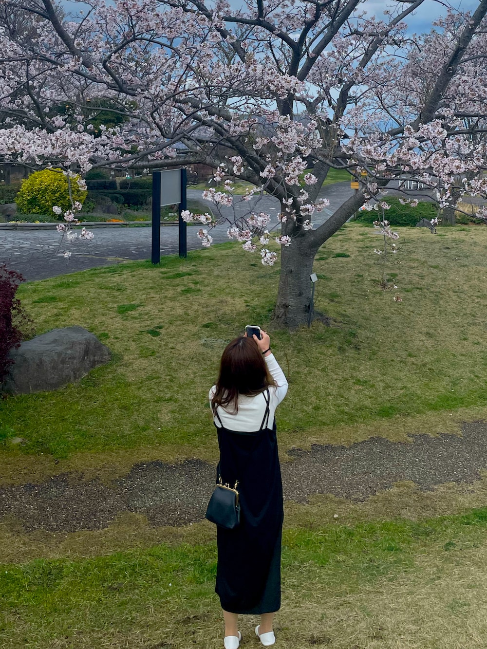 ホワイト系のニット/セーター、ブラック系のワンピース、ブラック系のショルダーバッグを着用したレディースの春コーディネートの2枚目の写真