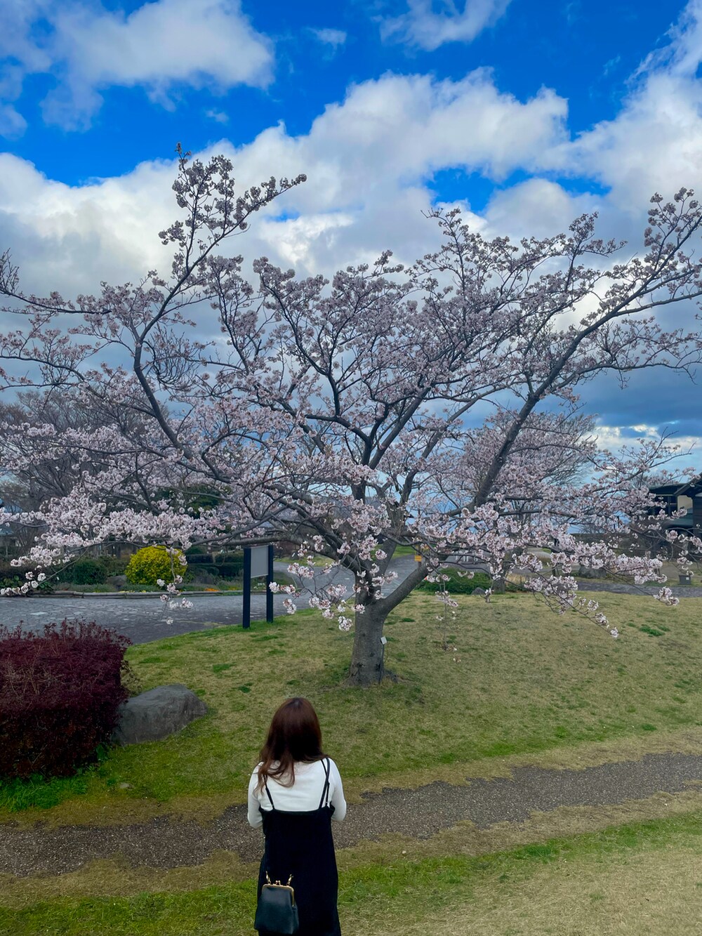ホワイト系のニット/セーター、ブラック系のワンピース、ブラック系のショルダーバッグを着用したレディースの春コーディネートの3枚目の写真