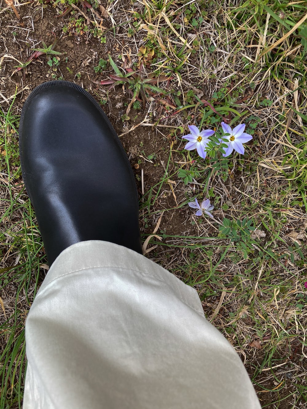 【Khaki's】A田さんの（WORKMAN）を使ったコーディネートの3枚目の写真