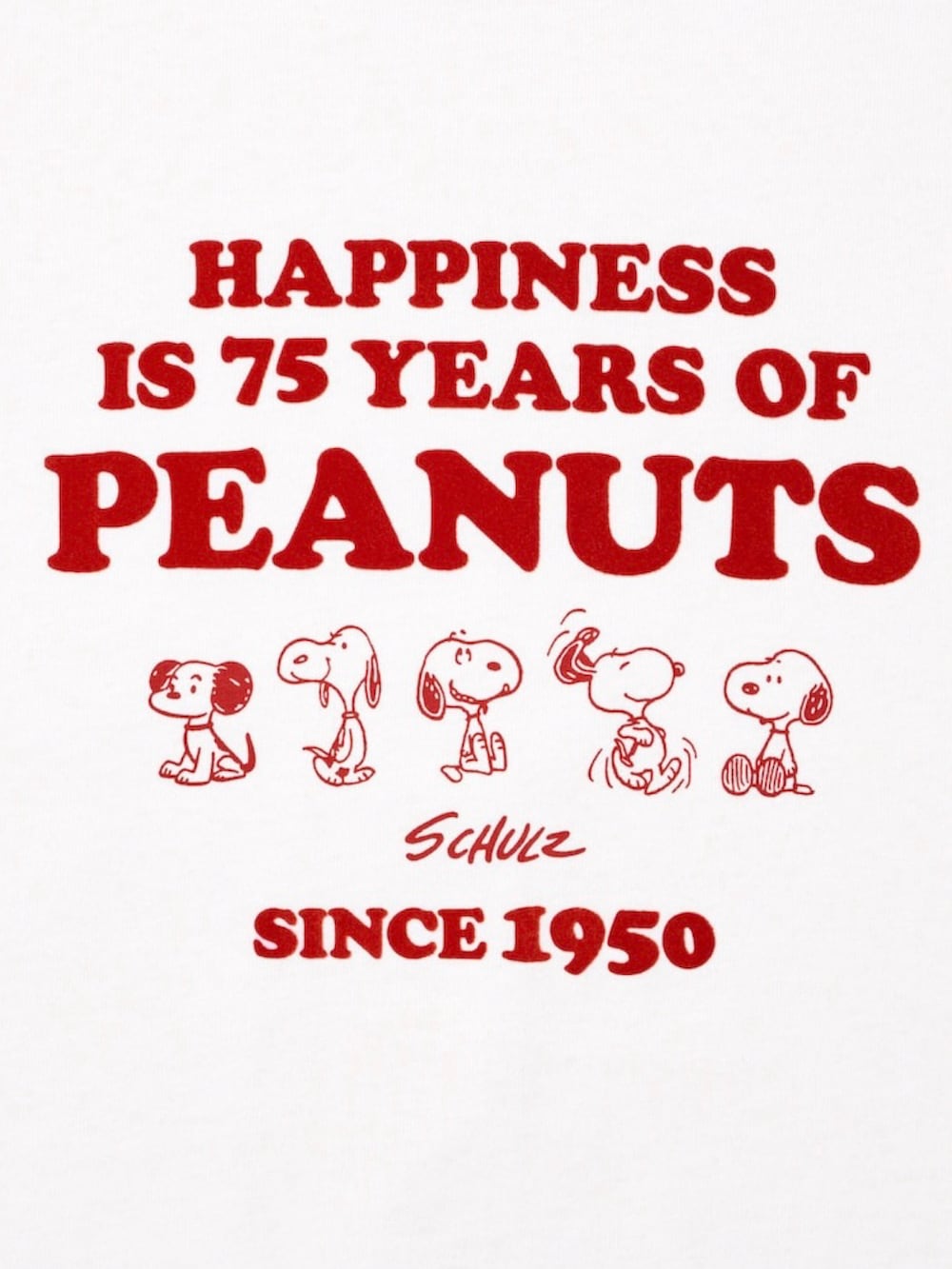 ブラック系のデニムパンツ、ブラック系のブーツ、ホワイト系のTシャツ/カットソーを着用したメンズの夏コーディネートの5枚目の写真