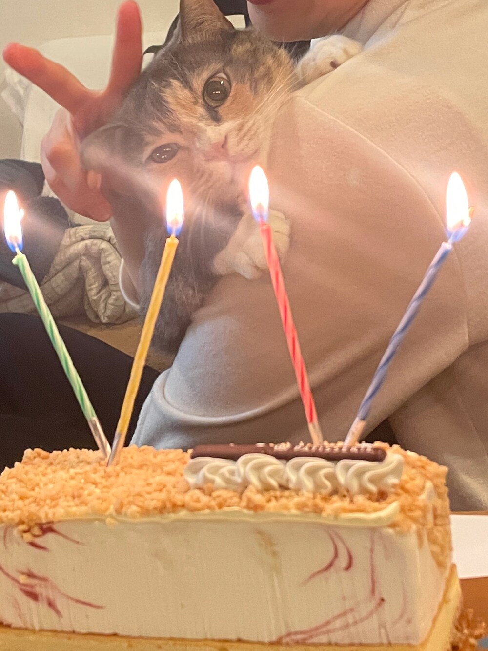 ブルー系のスニーカー、ブラウン系のジャケット/アウターを着用したレディースの春コーディネートの3枚目の写真