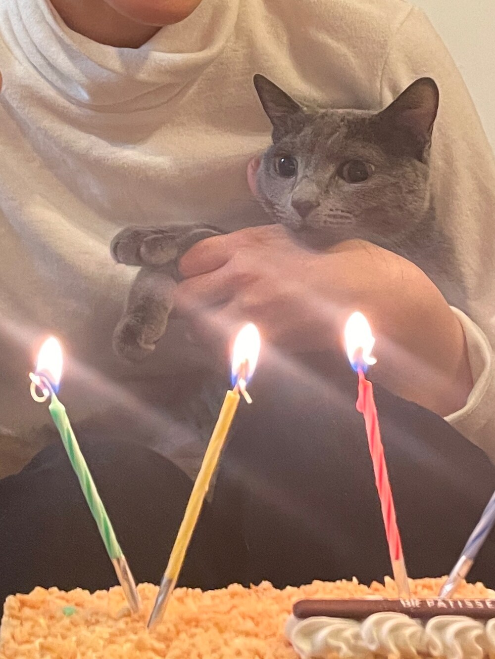 ブルー系のスニーカー、ブラウン系のジャケット/アウターを着用したレディースの春コーディネートの4枚目の写真