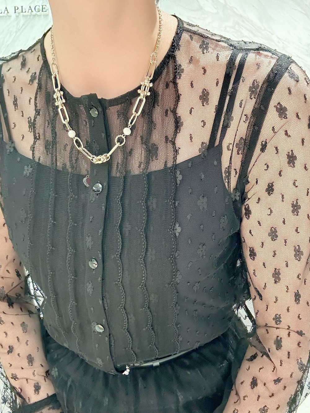 ブラック系のベスト、ブラック系のシャツ/ブラウス、ブラック系のスカートを着用したレディースの秋コーディネートの7枚目の写真