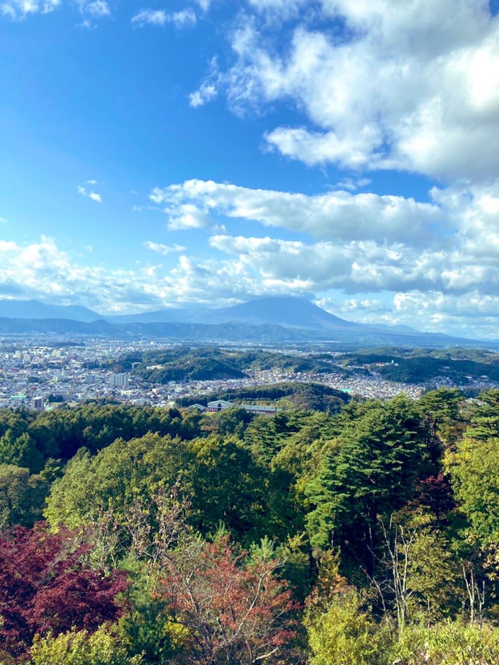 ブルー系のデニムパンツ、ブラック系のショルダーバッグ、ブラック系のライダースジャケットを着用したメンズの秋コーディネートの3枚目の写真