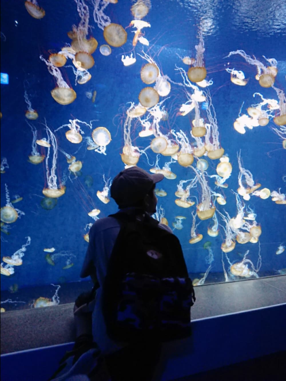 ブラウン系のシャツ/ブラウス、ブラック系のワンピース/ドレス、ホワイト系のショルダーバッグを着用したレディースの春コーディネートの3枚目の写真