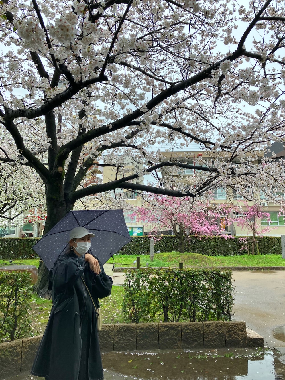 ブラック系のモッズコート、ブラック系のカーディガン/ボレロ、ホワイト系のシャツ/ブラウスを着用したレディースの春コーディネートの3枚目の写真