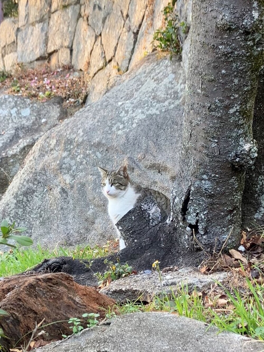 ベージュ系のキャップを着用したレディースの冬コーディネートの5枚目の写真