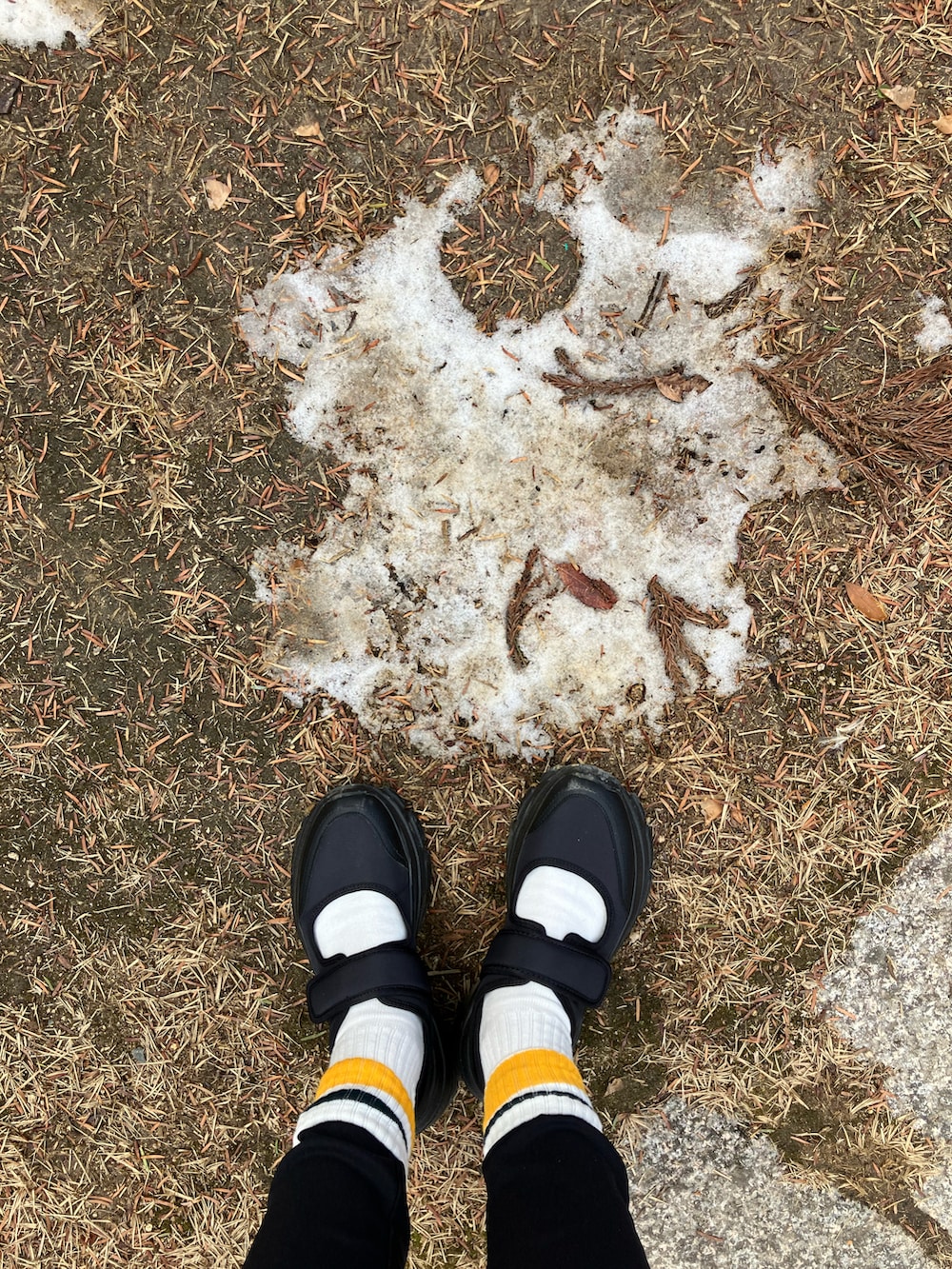 ブラック系のブルゾン、グリーン系のカーディガン/ボレロ、ホワイト系のTシャツ/カットソーを着用したレディースの冬コーディネートの5枚目の写真