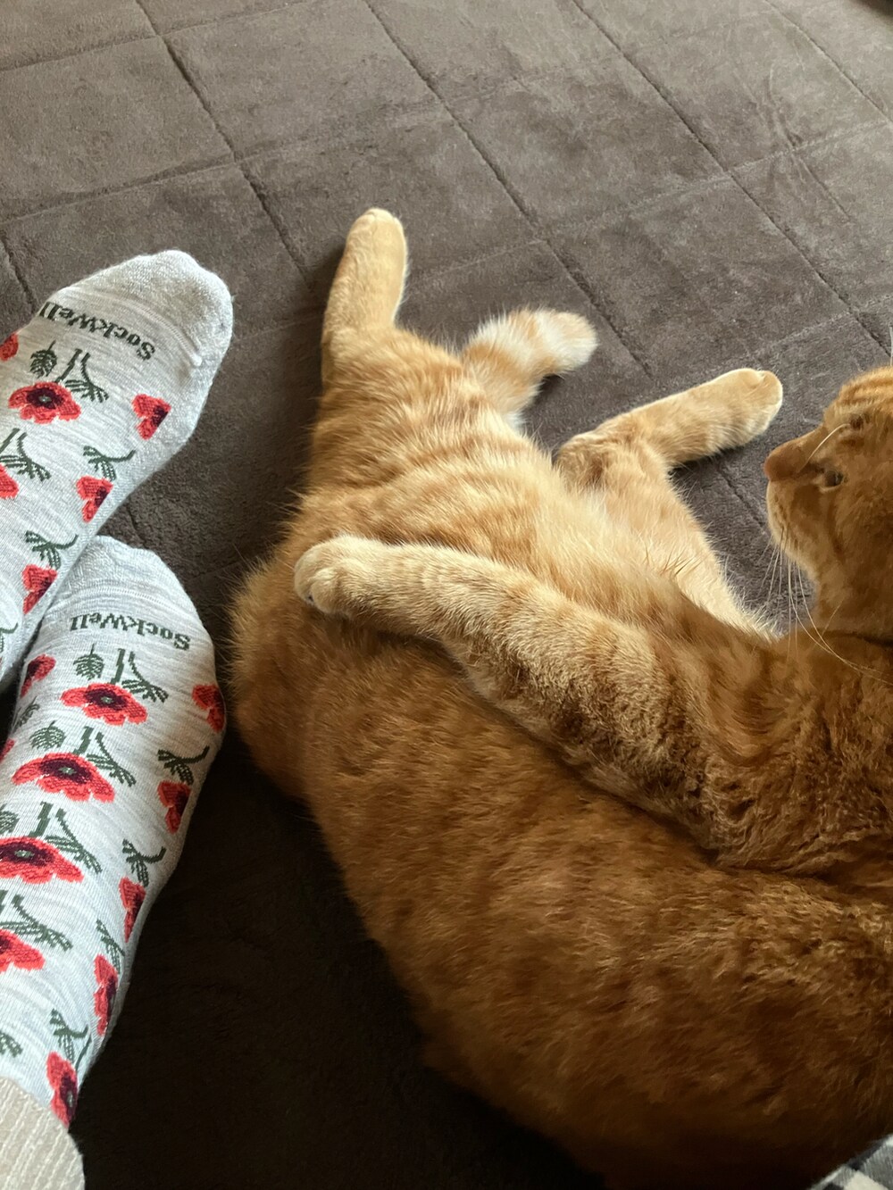 グレー系のトートバッグ、オレンジ系のカーディガン/ボレロ、ホワイト系のタンクトップを着用したレディースの冬コーディネートの2枚目の写真