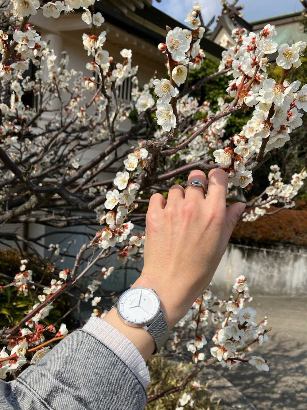 「春コーデ、腕時計、ノードグリーン、Nordgreen、シルバー、40代ファッション、Samansa Mos2、SM2、サマンサ モスモス(Samansa Mos2)、カチューシャ」｜「nordgreenのPhillosopher     https://bit.ly/3ILEoD0（腕時計、シルバー系）」を使った、まゆみんさん（レディース・160cm）の春コーディネートの2枚目の写真