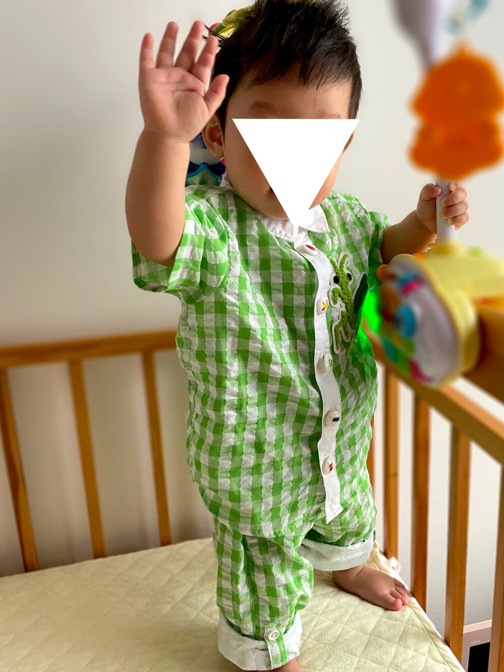 「真夏のアクティブスタイル、夏コーデ、むすこーで、チェック、おとこのこ、生後11ヶ月、０歳、男の子ベビー、ベビーコーデ、インセクトコレクション、セットアップ、グリーン、おとこのこーで」｜「INSECT COLLECTIONのアイテム（シャツ/ブラウス、グリーン系）」を使った、𝚖𝚒𝚣𝚞☻︎　  さん（キッズ・70cm）の夏コーディネートの2枚目の写真