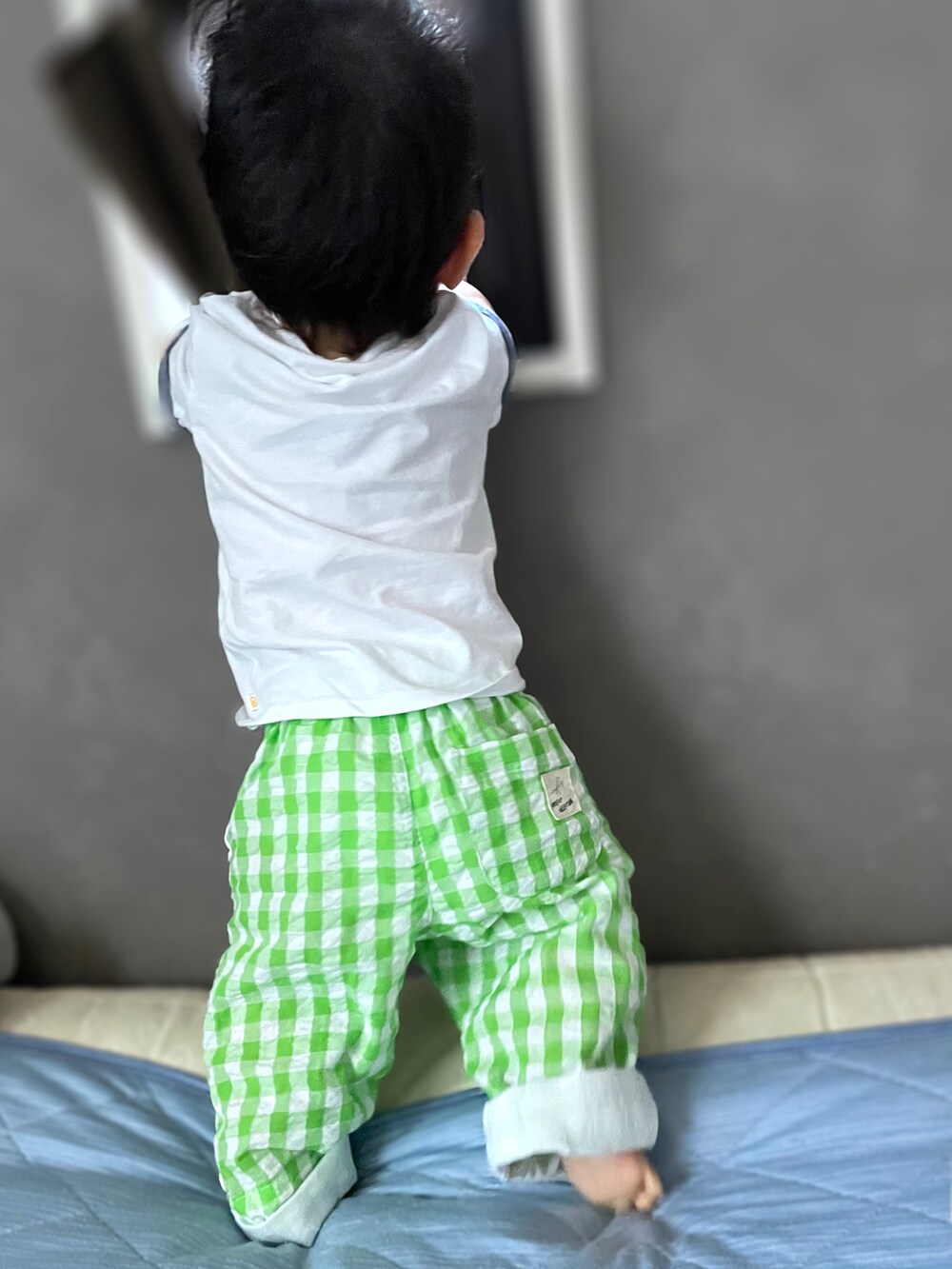 「夏コーデ、Tシャツ、カラーパンツ、キッズファッション、生後11ヶ月、ベビーコーデ、チェックパンツ、白Tシャツ、保育園、保育園コーデ、男の子ベビー、インセクトコレクション、OKAIDI、０歳」｜「OKAIDIのアイテム（Tシャツ/カットソー、ホワイト系）」を使った、𝚖𝚒𝚣𝚞☻︎　  さん（キッズ・70cm）の夏コーディネートの4枚目の写真