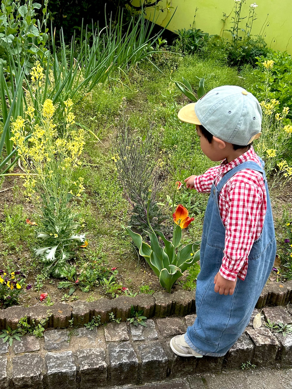 「休日コーデ、むすこーで、男の子コーデ、男の子、2歳、キッズファッション、2歳7ヶ月、2歳男の子、broom、チェックシャツ、オーバーオール、赤チェック、キャップ、サロペット、公園スタイル」｜「b・ROOMのデニムバイカラーキャップ（キャップ、イエロー系）」を使った、𝚖𝚒𝚣𝚞☻︎　  さん（キッズ・80cm）の春コーディネートの2枚目の写真