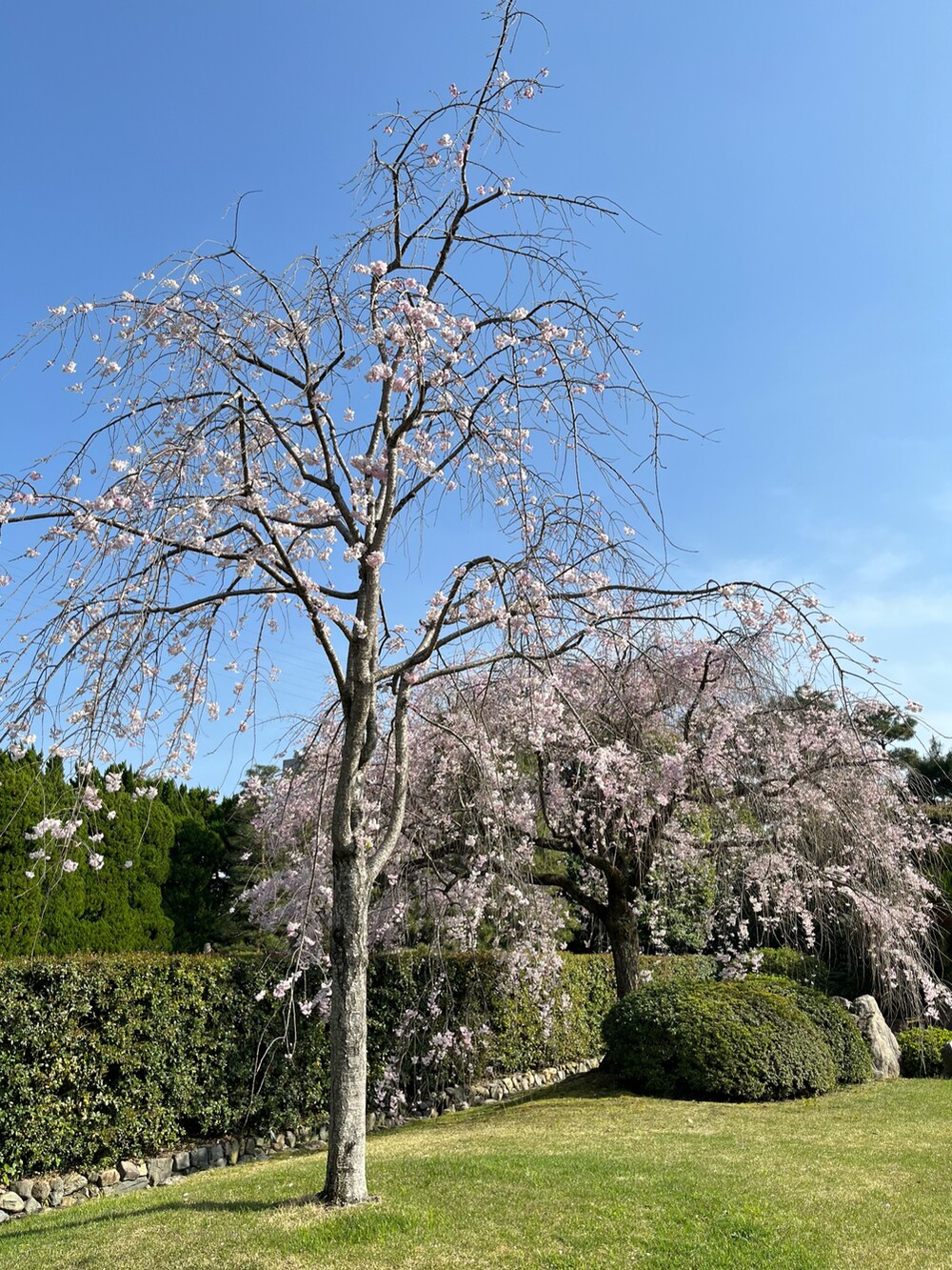 ブラック系のワンピースを着用したレディースの春コーディネートの2枚目の写真