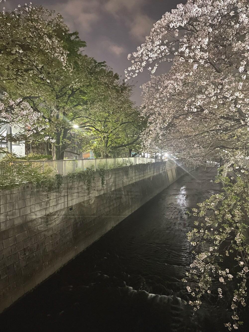 グレー系のテーラードジャケット、ブラック系のワンピース、ブラック系のショルダーバッグを着用したレディースの春コーディネートの2枚目の写真