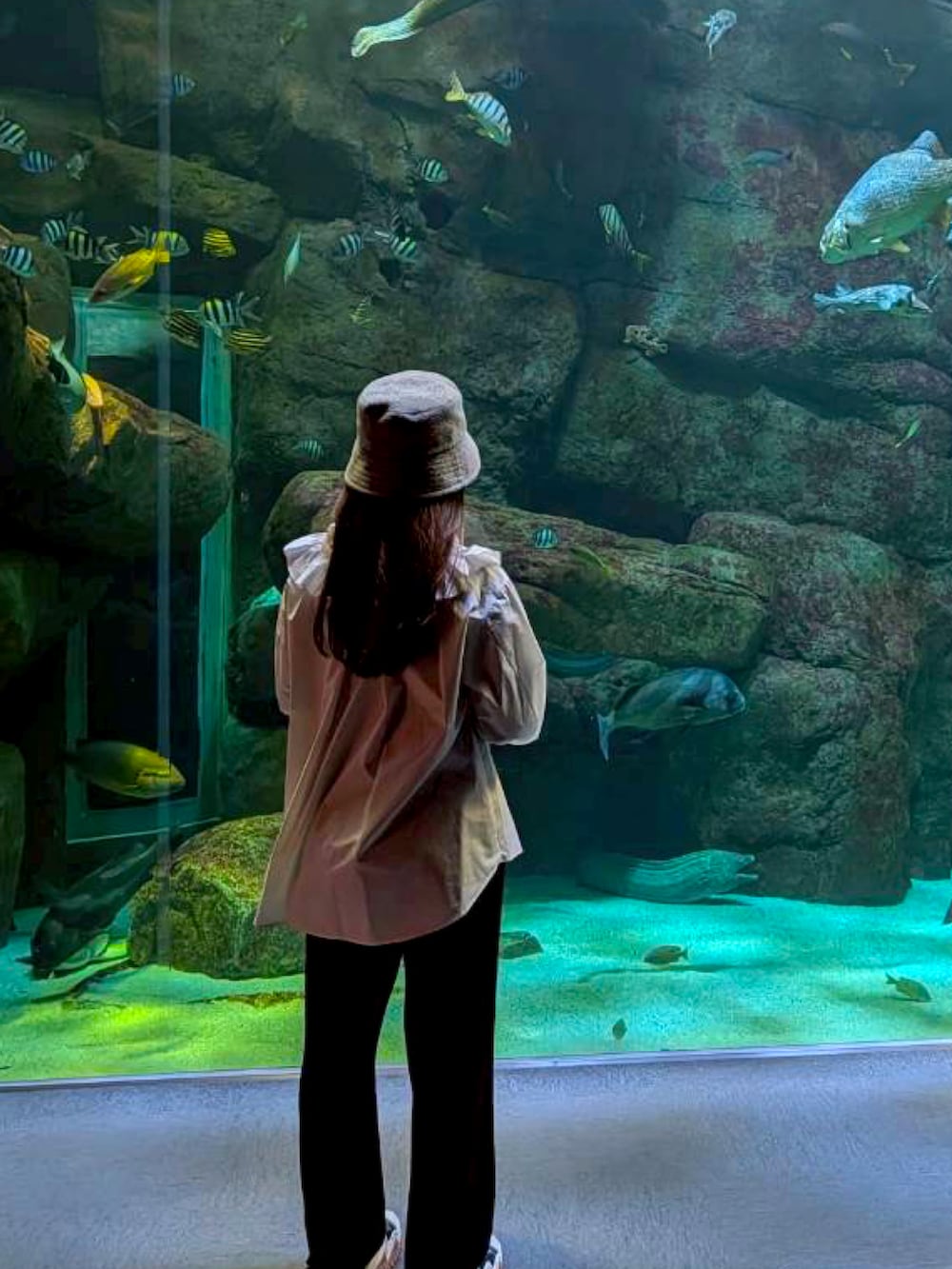 ブラック系のその他パンツ、その他のスニーカー、ホワイト系のシャツ/ブラウスを着用したレディースの秋コーディネートの2枚目の写真