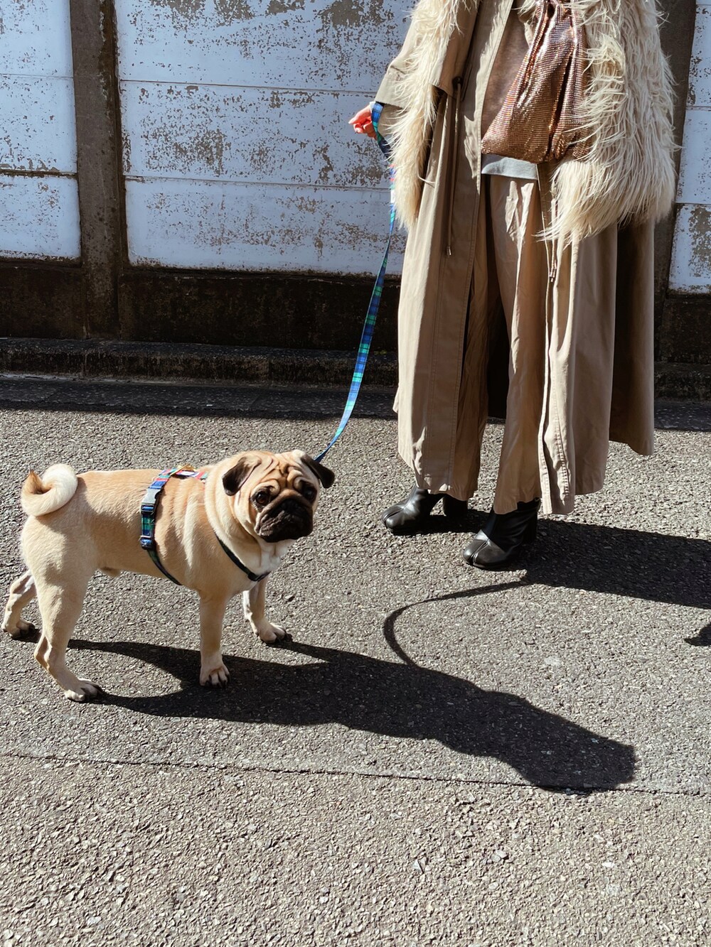 ブラック系のブーツ、ゴールド系のバッグ、ベージュ系のその他アウターを着用したレディースの冬コーディネートの2枚目の写真