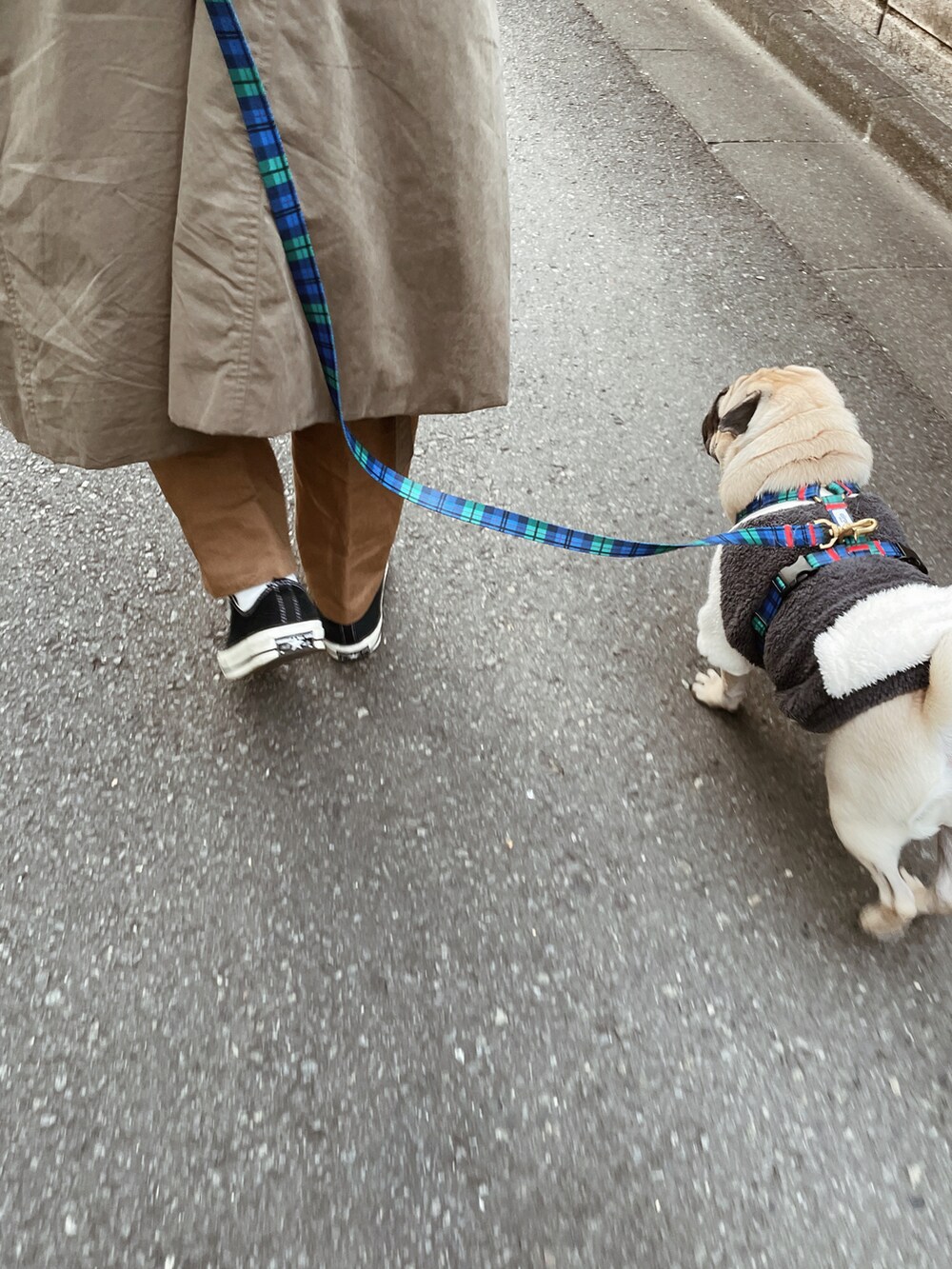 グリーン系のジャケット/アウター、ブラウン系のパンツ、ブラック系のスニーカーを着用したメンズの冬コーディネートの2枚目の写真