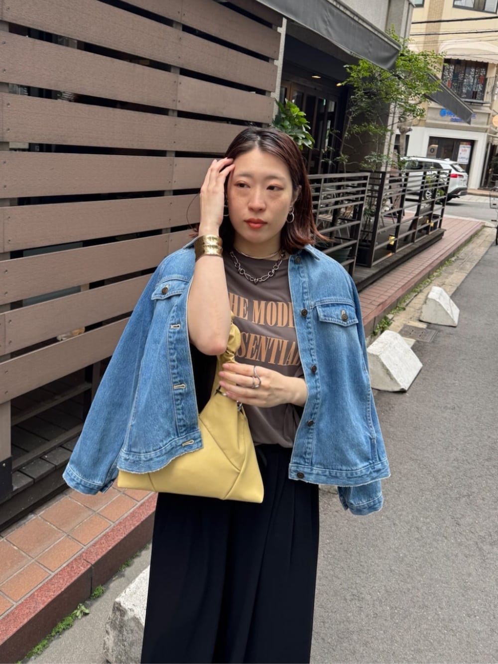 ブルー系のその他アウター、ブラウン系のTシャツ/カットソー、ブラック系のその他パンツを着用したレディースの春コーディネートの3枚目の写真