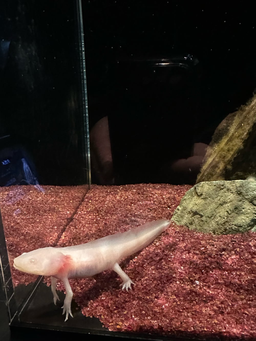 ブラック系のMA-1、ブルー系のデニムパンツ、ブラック系のショルダーバッグを着用したメンズの冬コーディネートの5枚目の写真