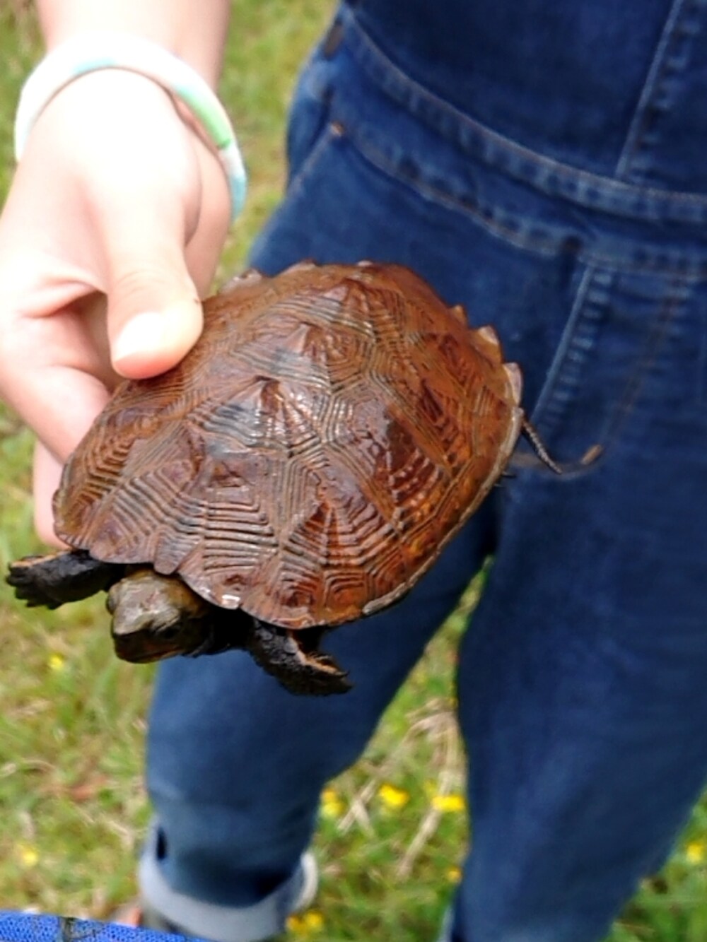 ブルー系のTシャツ/カットソー、その他のその他を着用したレディースの春コーディネートの3枚目の写真