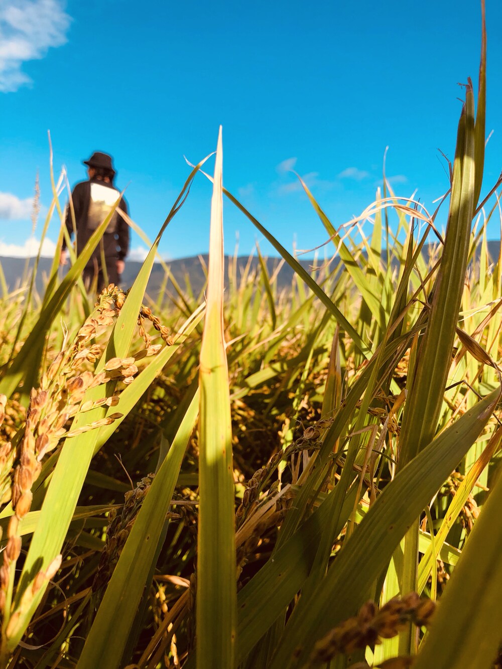 ブラック系のTシャツ/カットソー、ブラック系のカーゴパンツ、ブラック系のスニーカーを着用したメンズの秋コーディネートの3枚目の写真