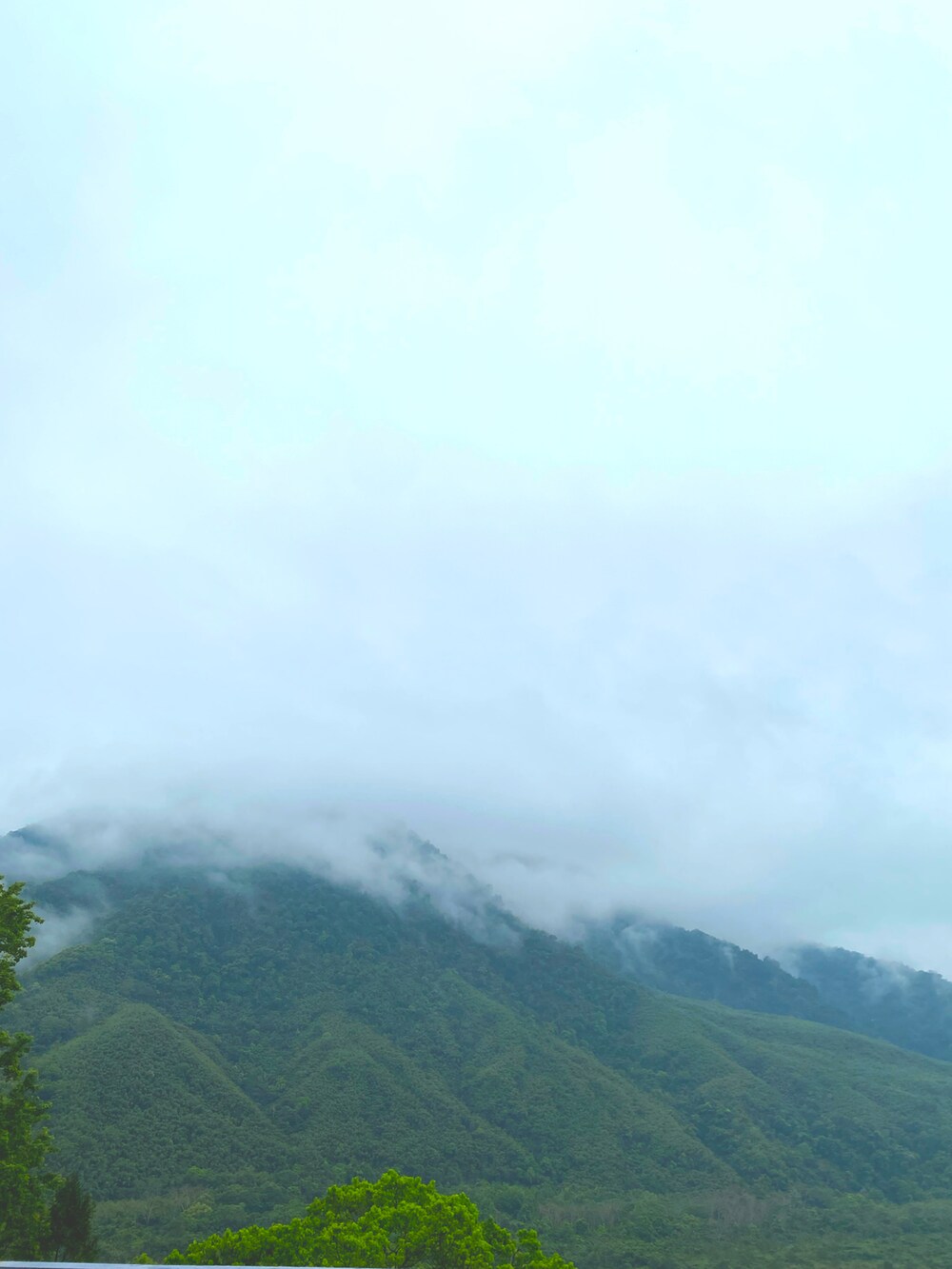 ベージュ系のベスト、ブラック系のバッグ、ブルー系のデニムパンツを着用したレディースの春コーディネートの2枚目の写真