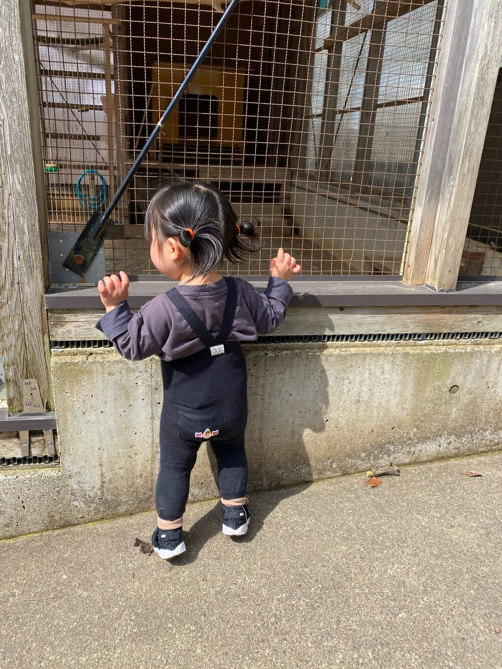 オレンジ系のマウンテンパーカー、ホワイト系のスニーカーを着用したキッズの春コーディネートの3枚目の写真