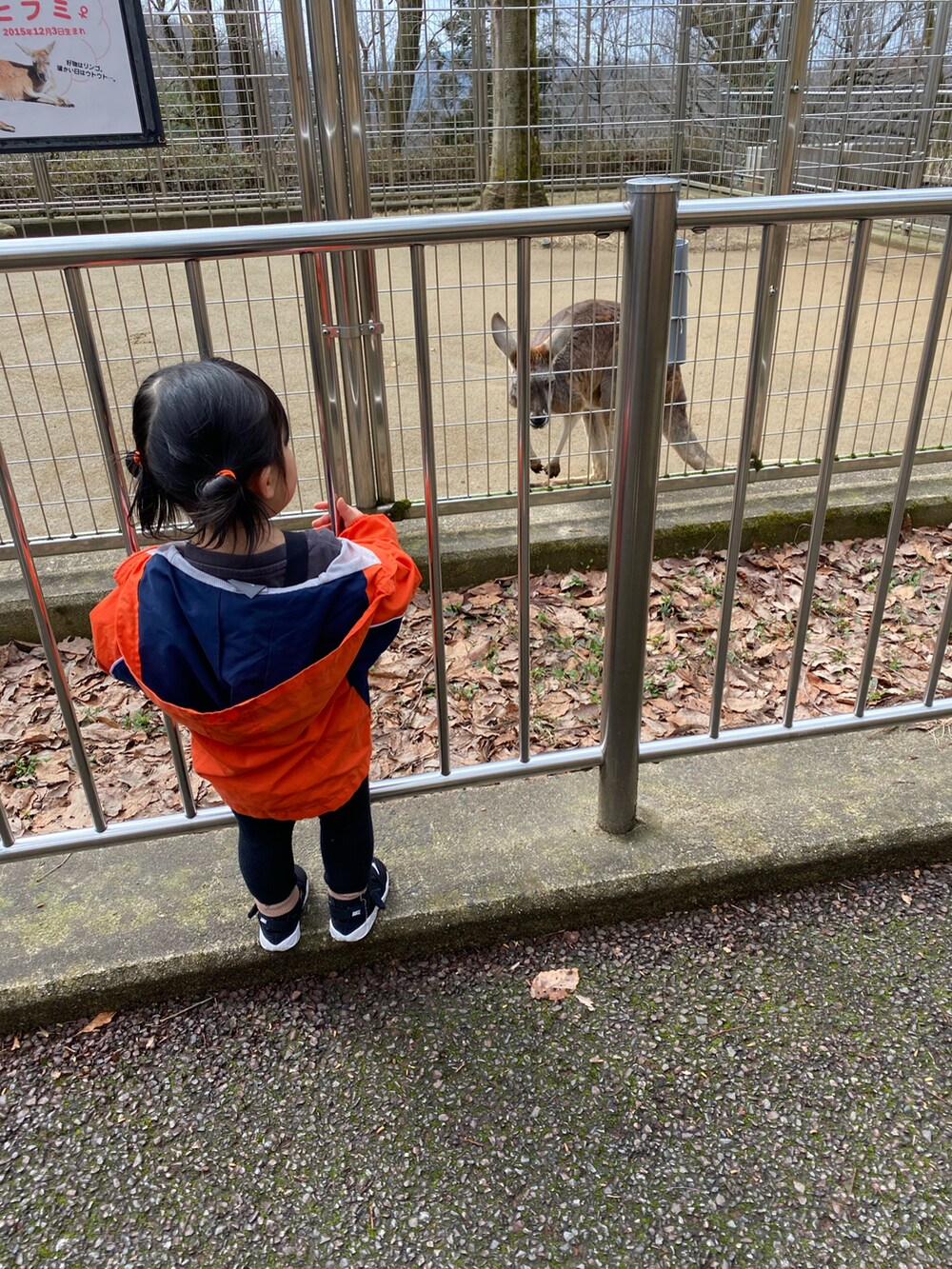 オレンジ系のマウンテンパーカー、ホワイト系のスニーカーを着用したキッズの春コーディネートの2枚目の写真