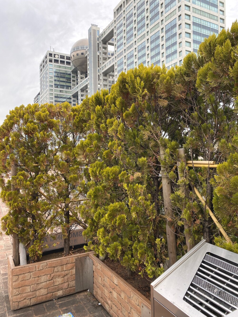 ホワイト系のTシャツ/カットソー、グリーン系のカーゴパンツ、ブラック系のスニーカーを着用したメンズの夏コーディネートの5枚目の写真