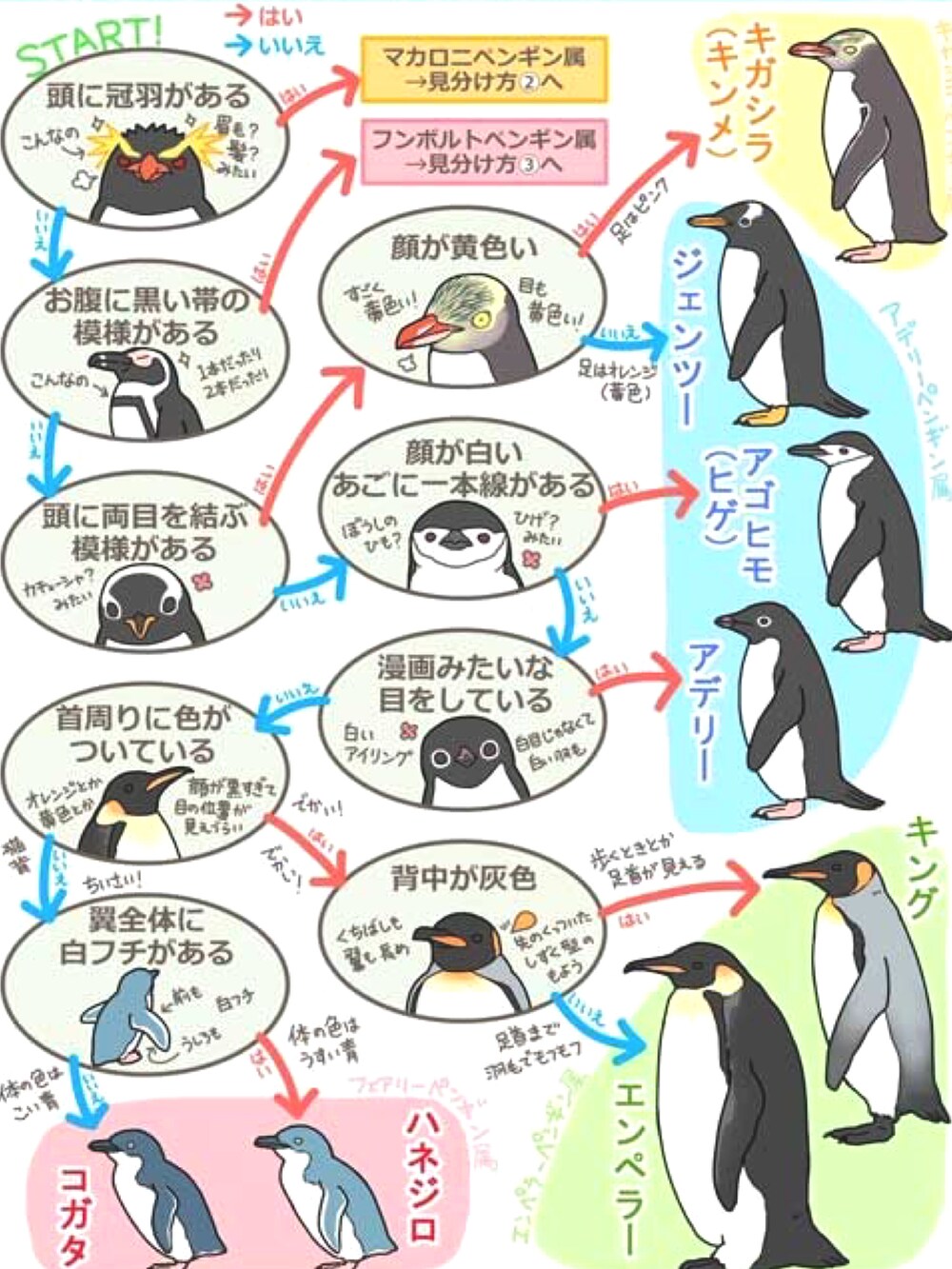 ブラック系のシャツ/ブラウス、ブラック系のその他パンツ、ブラック系のスニーカーを着用したメンズの夏コーディネートの4枚目の写真