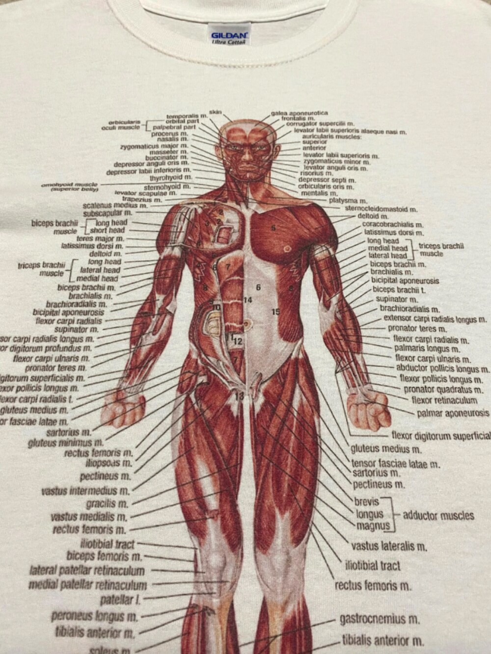 グレー系のカーディガン/ボレロ、グリーン系のカーディガン/ボレロ、ベージュ系のカーディガン/ボレロを着用したメンズの秋コーディネートの4枚目の写真