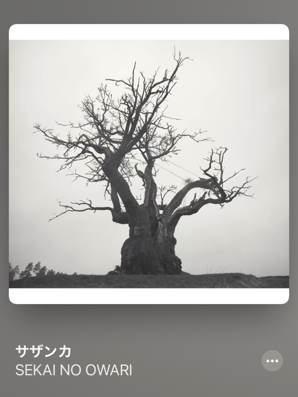 グリーン系のモッズコート、ブラック系のテーラードジャケット、ブラック系のシャツ/ブラウスを着用したメンズの秋コーディネートの5枚目の写真