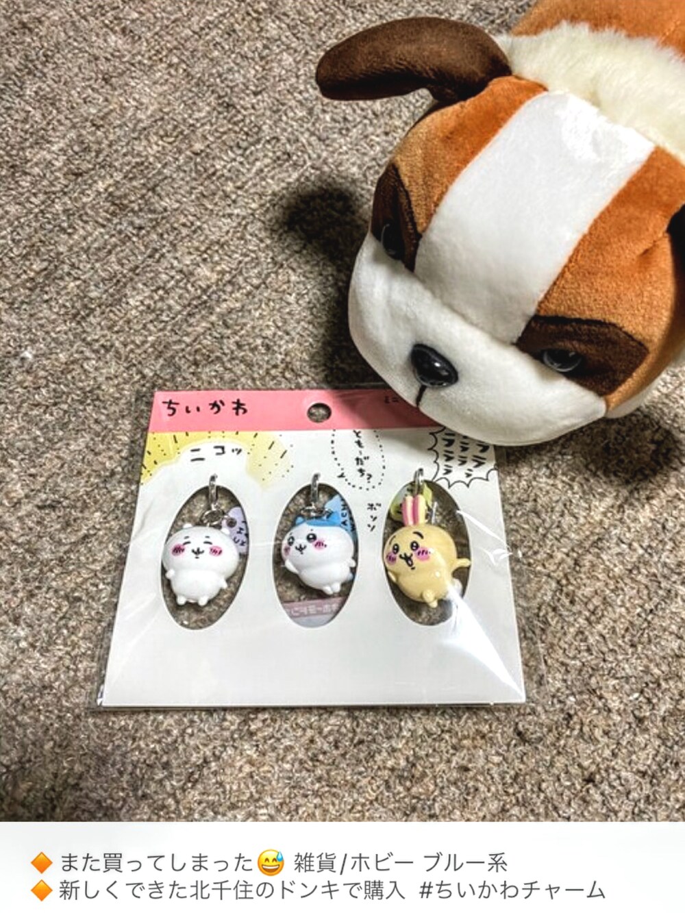 ブルー系のナイロンジャケット、グレー系のパーカー、ブルー系のタンクトップを着用したメンズの冬コーディネートの5枚目の写真