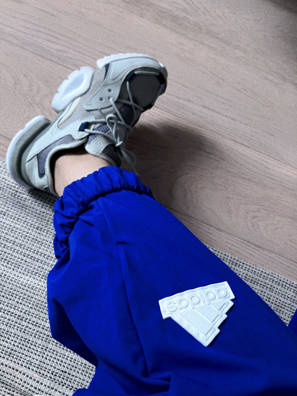 シルバー系のスウェット、ブルー系のその他パンツ、グレー系のスニーカーを着用したレディースの秋コーディネートの3枚目の写真