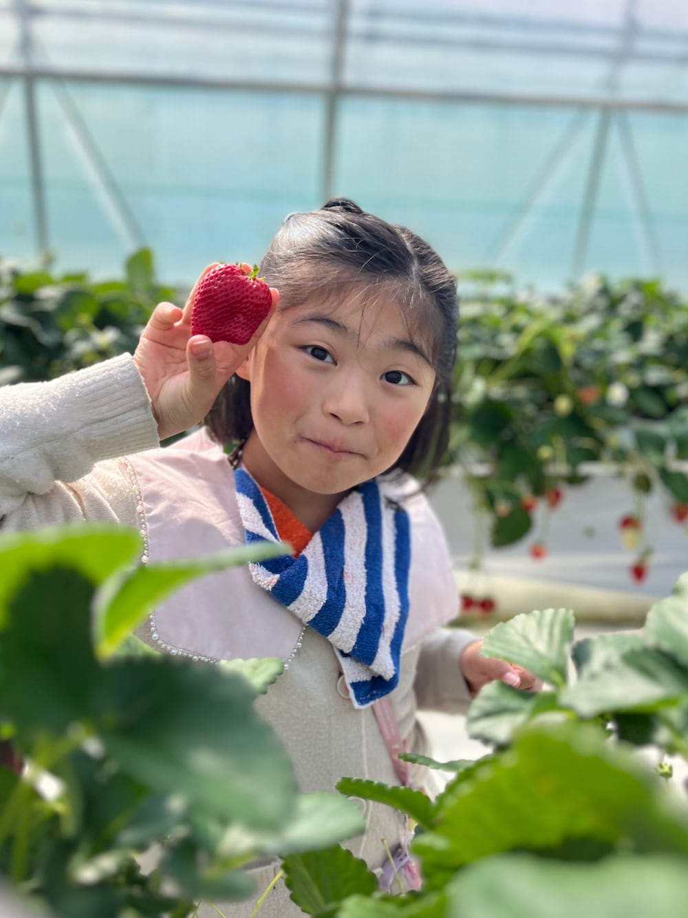 ホワイト系のシャツ/ブラウス、ホワイト系のカーディガン/ボレロ、グレー系のその他パンツを着用したキッズの春コーディネートの2枚目の写真